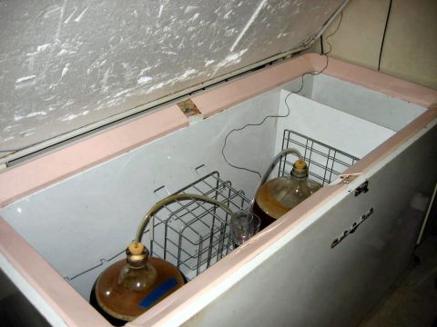 1985 Ford LTD Crown Victoria - Two glass jugs with tubing are set up inside a chest freezer for fermentation.