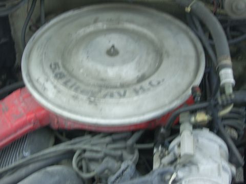 1985 Ford Bronco photo