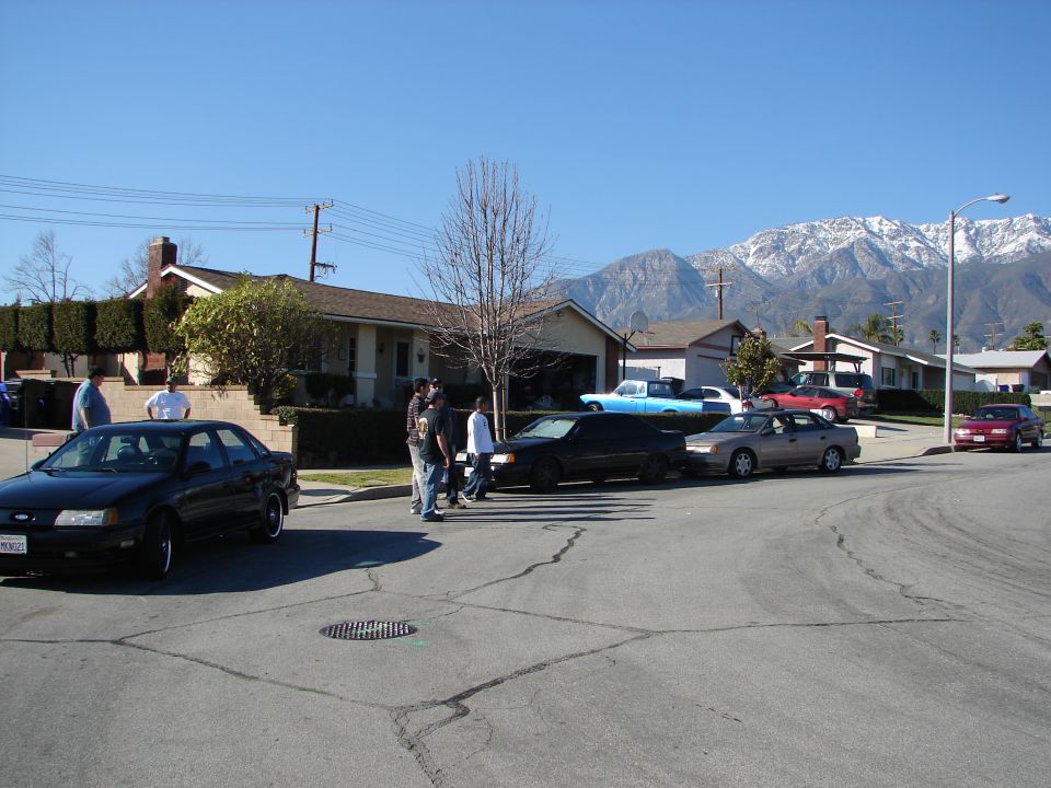Black Ford Taurus SHO at a suburban street meet with snow-capped mountains behind