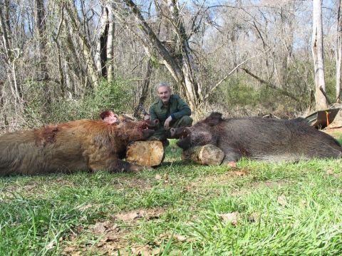 1979 Ford Bronco - A hunter poses with two wild boars after a hunt in a forest clearing.