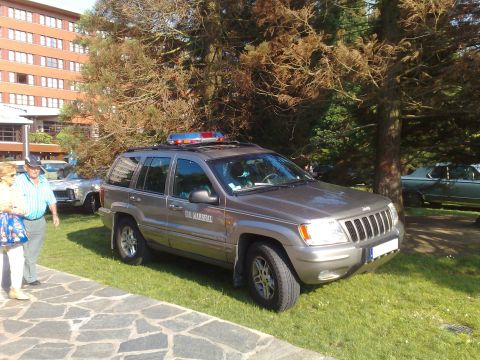 1991 Ford Crown Victoria - A silver Jeep Grand Cherokee with a light bar and U.S. MARSHAL markings is parked on a grassy area next to a building and trees.