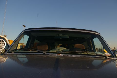 1986 Ford Bronco - The interior of a 1986 Ford Bronco is visible through the windshield, with brown seats and dashboard details.