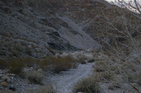 1986 Ford Bronco - Dry brush and rocky slopes fill a desert canyon landscape.