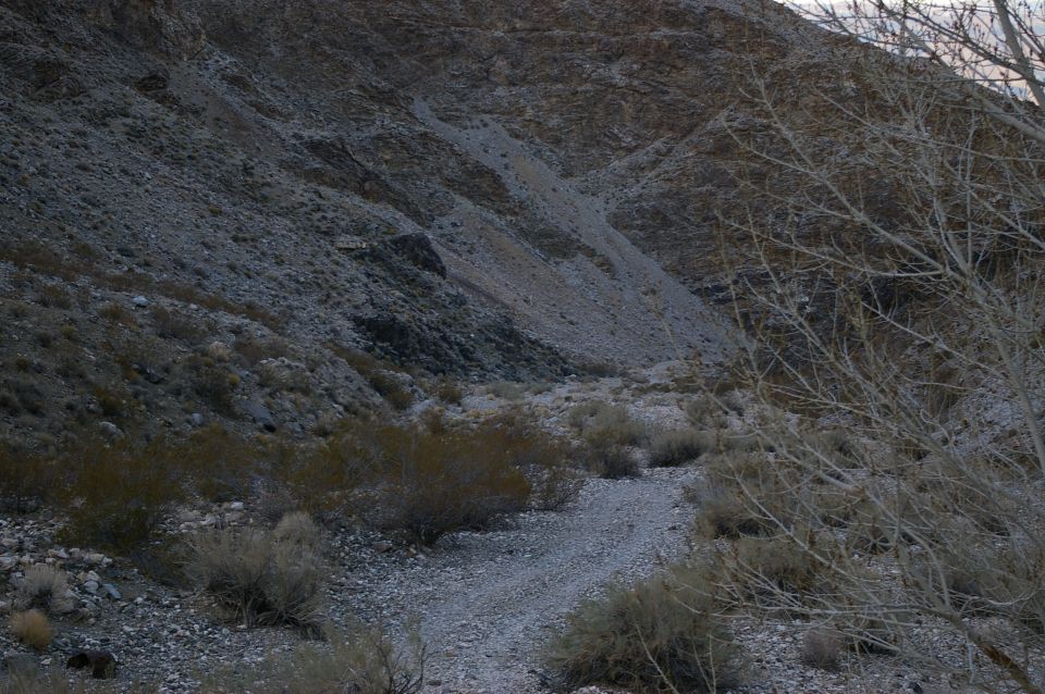 Desert canyon with dry brush and rocky slopes