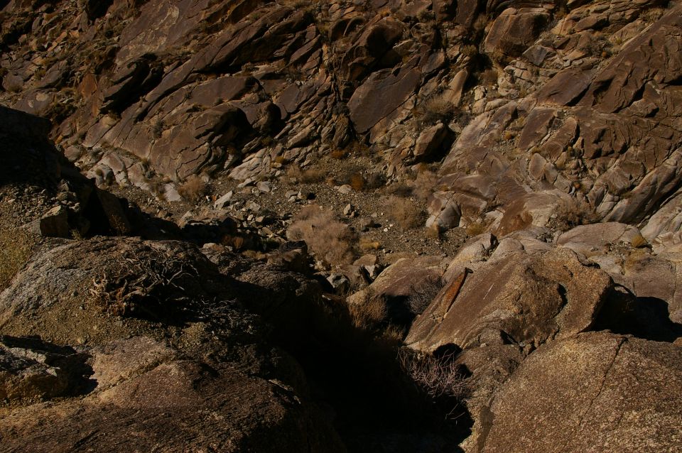 Rocky terrain with sparse dry brush under harsh sunlight