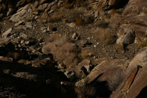 1986 Ford Bronco - A desolate scene of rocks and dry vegetation under harsh sunlight.