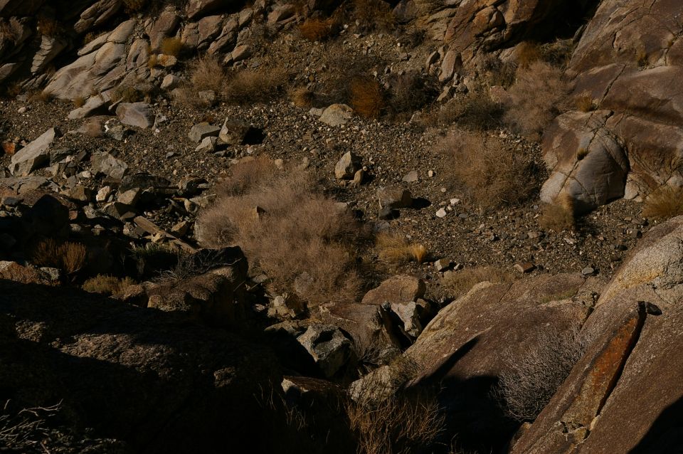 Rocky desert landscape with dry brush and shadows