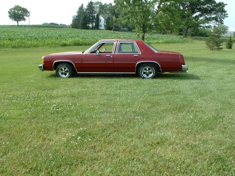 1981 Ford LTD photo