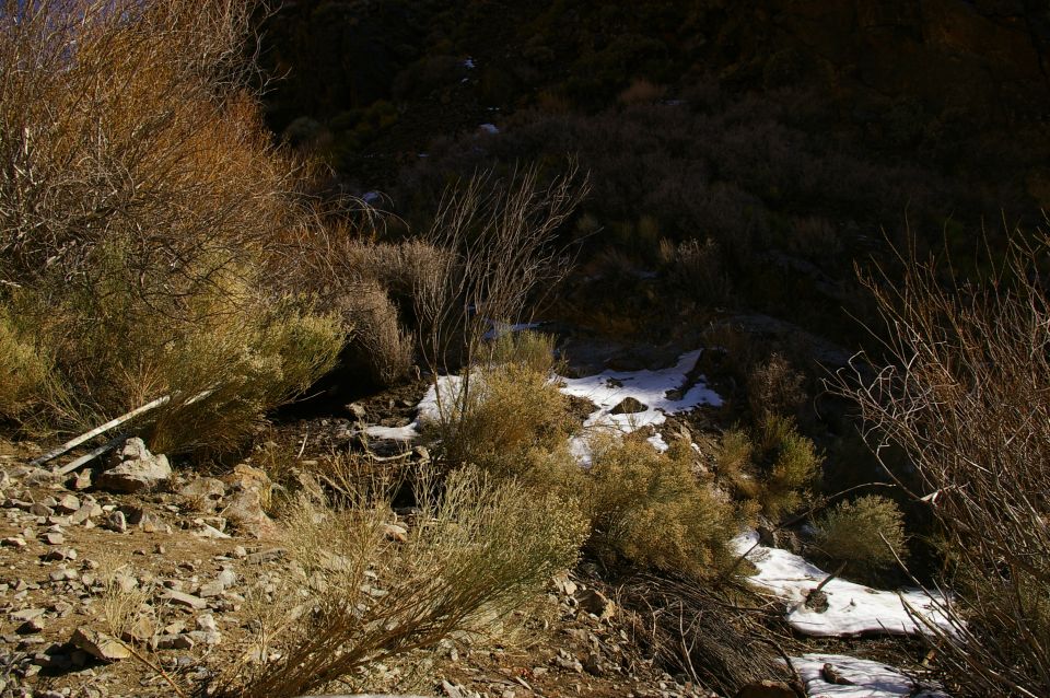 Dry hillside with scrub brush and snow patches