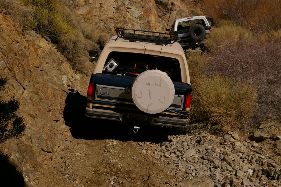 Rear view of a tan and blue 1986 Ford Bronco with a spare tire on the back, followed by a white Bronco