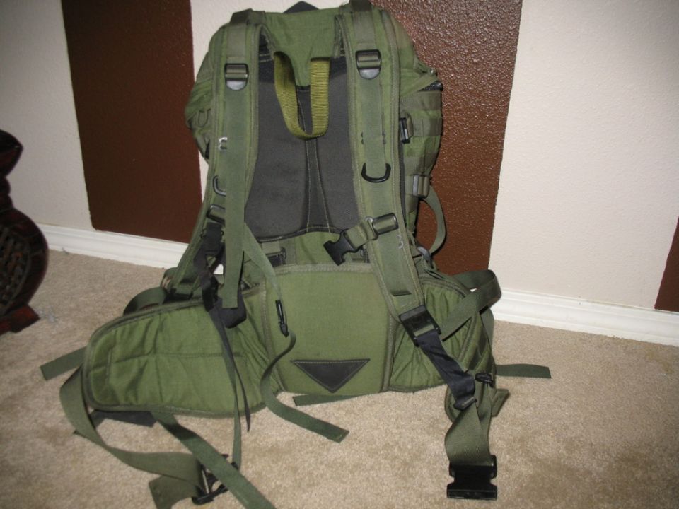 Back view of a green backpack with adjustable straps and buckles