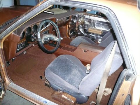 1975 Ford Ranchero - Interior view of a 1975 Ford Ranchero, brown carpeting and grey seats.