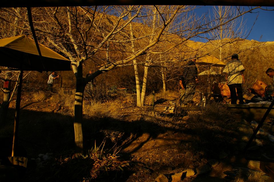 Outdoor scene with people under umbrellas and trees