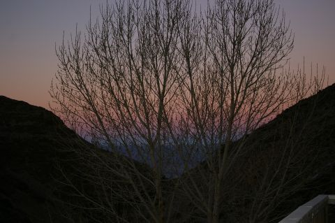 1986 Ford Bronco - Sunset colors paint the sky behind a silhouetted tree with bare branches.