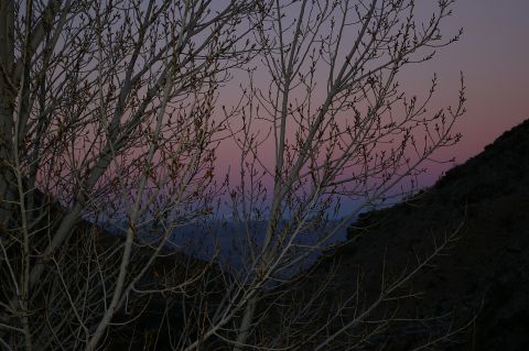 1986 Ford Bronco - The sky displays a gradient of pink and purple during twilight, with the silhouette of a tree and a dark hillside.