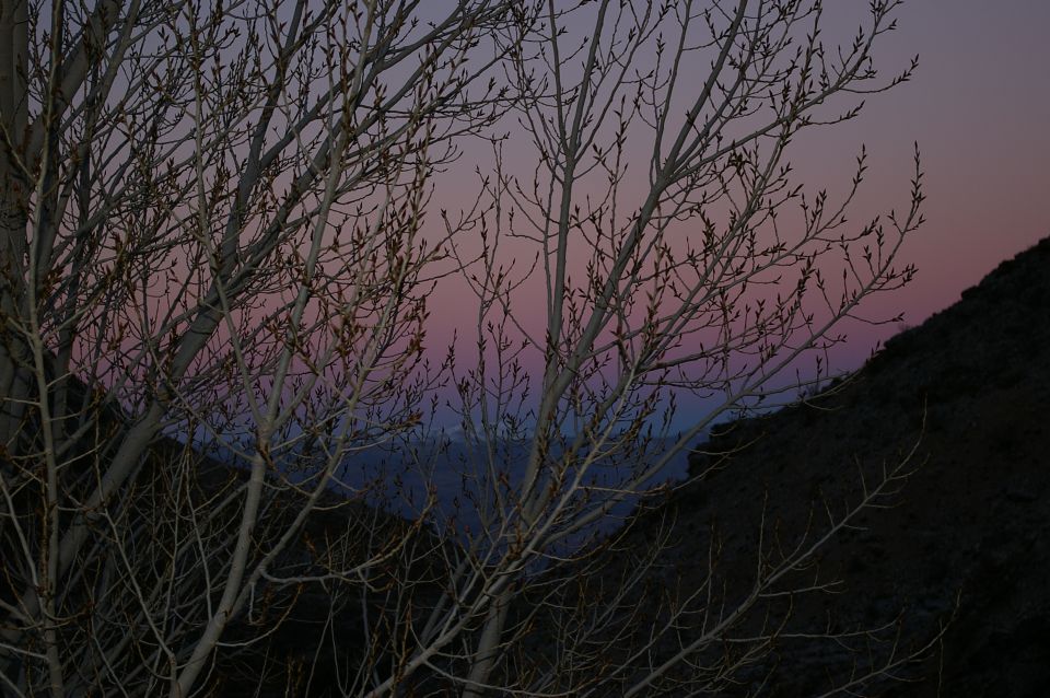 Bare tree branches in foreground, twilight sky with pink and purple hues in background, dark hillside on right