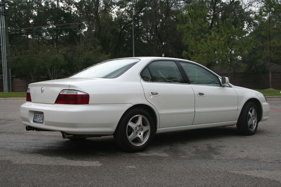 White Acura TL sedan rear 3/4 view in a parking lot with pine trees behind