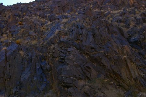 1986 Ford Bronco - A desert landscape features a steep, rocky incline dotted with dry grass and cacti under a pale sky.