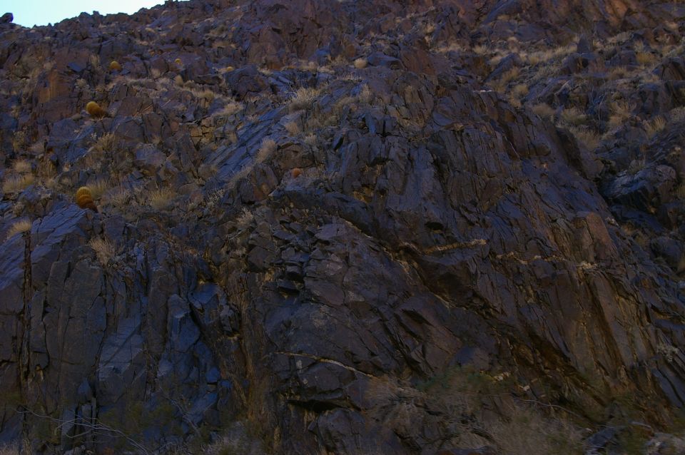 Rocky hillside with sparse vegetation and a few barrel cacti