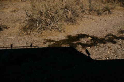 1986 Ford Bronco - A shadow of a vehicle and a person are cast on the dry, dusty ground near some brush.