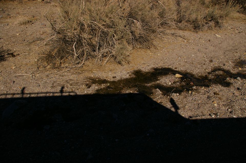 Shadow of a vehicle and a person on dusty ground with dry brush