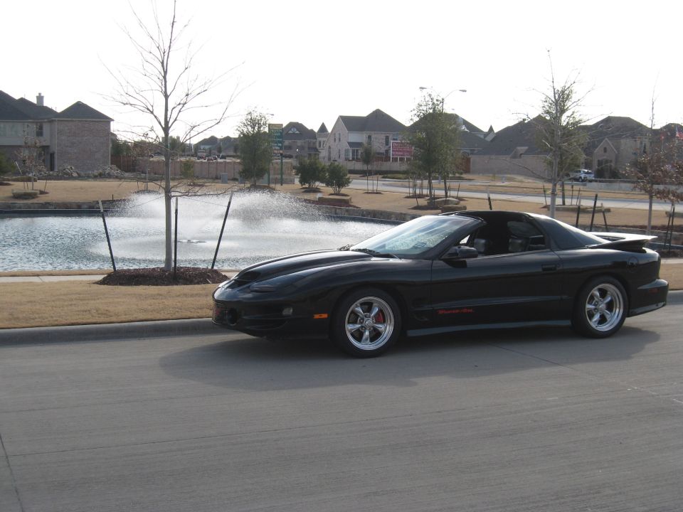 Black Pontiac Trans Am coupe in profile with ram-air hood and polished wheels by a pond