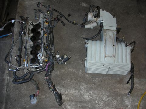 1998 Ford Crown Victoria - removed engine wiring harness with fuel rails beside a white plastic intake manifold, laid out on a concrete floor.