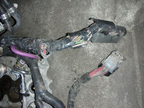 1998 Ford Crown Victoria - vehicle engine wiring harness wrapped in cloth tape, ending in two grey multi-pin electrical connectors over an aluminum casting.