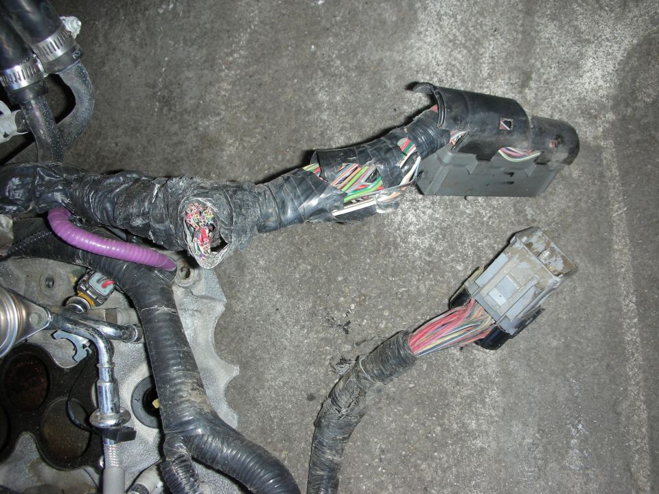Engine wiring harness with taped looms and multi-pin connectors