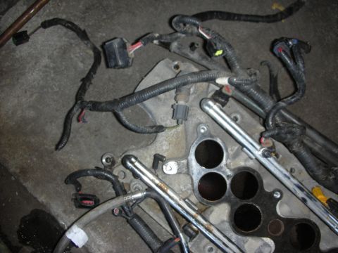 1998 Ford Crown Victoria - removed engine wiring harness with relay and fuel rails lying next to the open intake ports of a manifold on the floor.