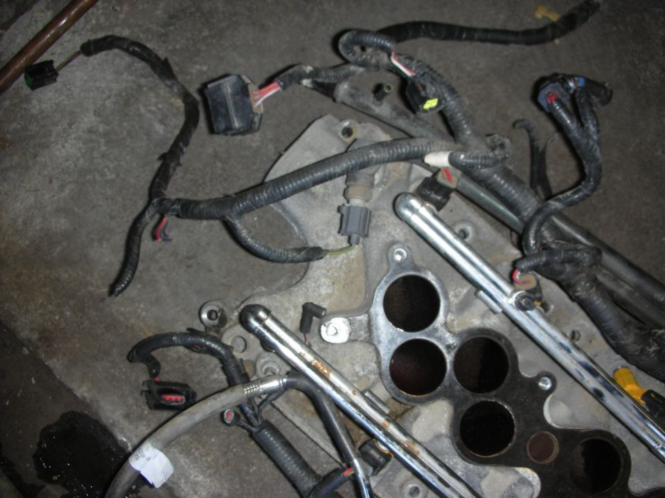 Engine wiring harness and fuel rails beside intake manifold ports