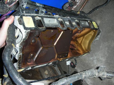 1998 Ford Crown Victoria - inside of a removed engine oil pan with windage baffles and brown oil residue, held up beside loose wiring.