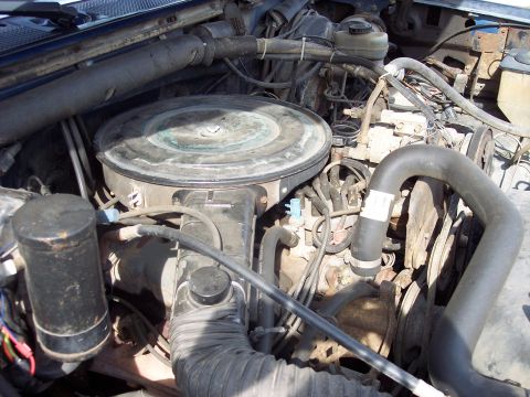 1987 Ford Bronco photo