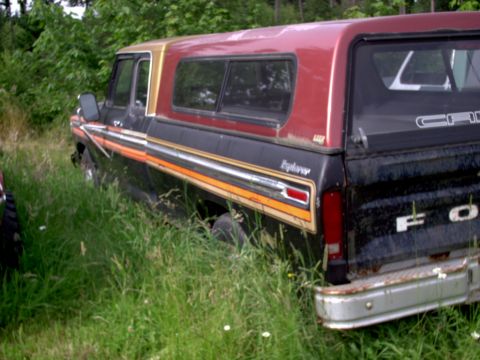 1979 Ford F-250 photo