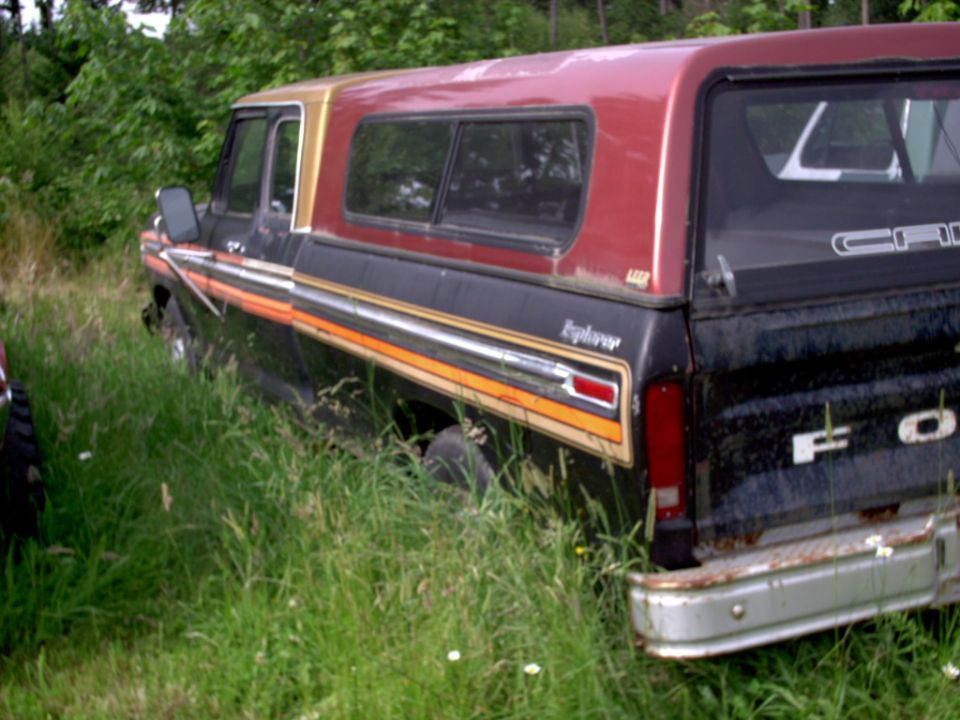 Rear view of a 1979 Ford F-250 with a camper shell and distinctive side trim