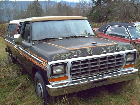 1979 Ford F-250 photo