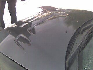 1993 Ford Probe - A close-up of a car's hood shows a custom scoop and a unique decal, with a website logo visible.