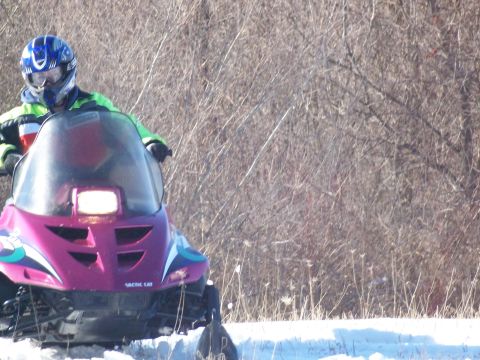 1996 Arctic Cat Puma - A person rides a pink Arctic Cat snowmobile through a snowy landscape with dry brush in the background.