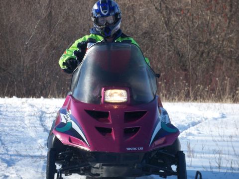 1996 Arctic Cat Puma photo