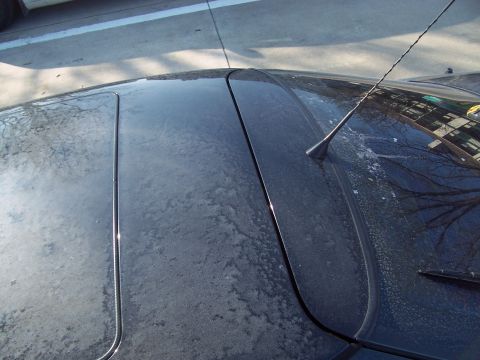 1993 Ford Probe - The top of a dark-colored vehicle is visible, a sunroof and an antenna, with visible water spots and dirt.