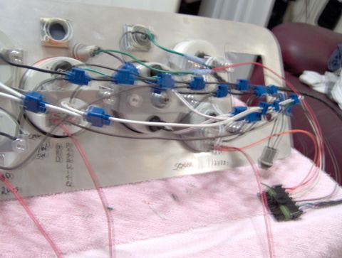 1978 Ford Bronco - A close-up view of a complex dashboard wiring harness, showing numerous blue connectors and wires.