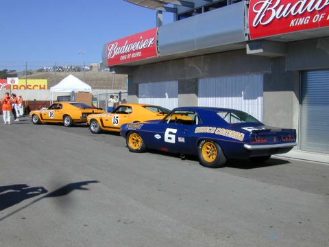 1981 Kawasaki Bayou - Three vintage race cars are lined up on a track, with a blue Camaro in the foreground.