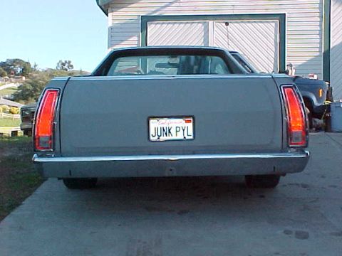 1973 Ford Ranchero - tailgate with new lights
