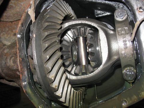 1995 Ford C-350 (Centurion Conversions) - Differential gears showing wear and lubrication. Part number 'WH 565C' is visible.
