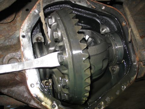 1995 Ford C-350 (Centurion Conversions) - Close-up view of a vehicle's differential, showing gears and bearings, likely during a rebuild.