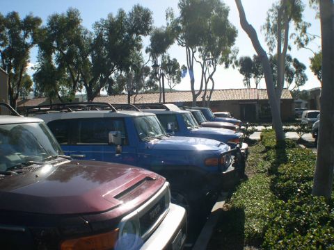 2007 Toyota FJ Cruiser - Several Toyota FJ Cruisers are parked in a lot under a clear sky.