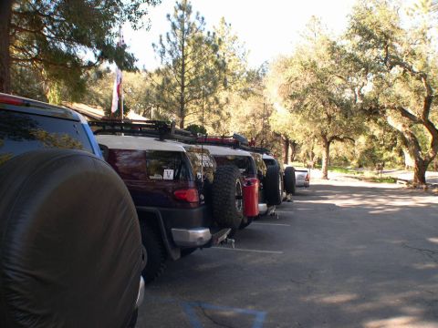 2007 Toyota FJ Cruiser - Multiple Toyota FJ Cruisers are parked in a row on a sunny day, with trees in the background.