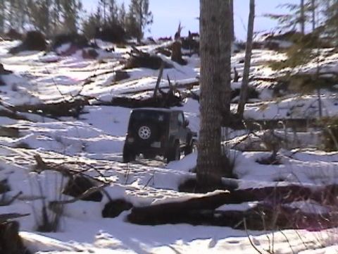 2005 Jeep Wrangler - Fry heading up the hill