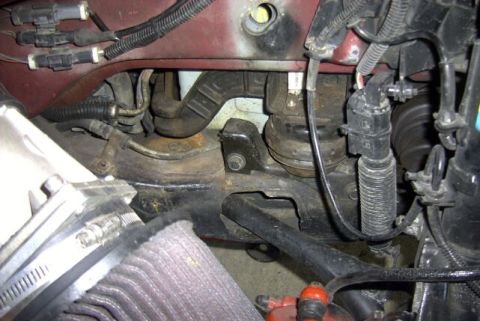 1997 Ford Taurus - Close-up view of engine bay components including hoses and wiring harnesses.