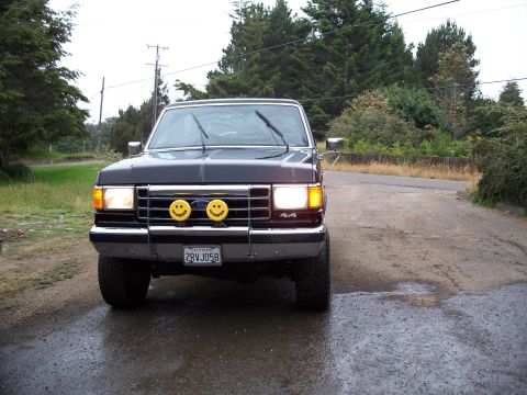 1990 Ford Bronco - This truck has a distinctive grille and headlights, typical of Ford F-Series models from the late 1980s.
